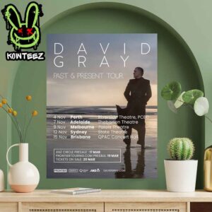 David Gray Past And Present Tour 2025 Home Decor Poster Canvas Aloha